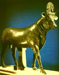 apis-bull-idol