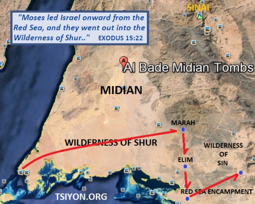 Wilderness in Arabia