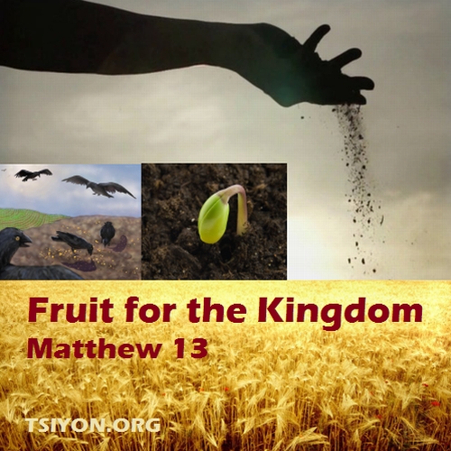 Fruit for the Kingdom