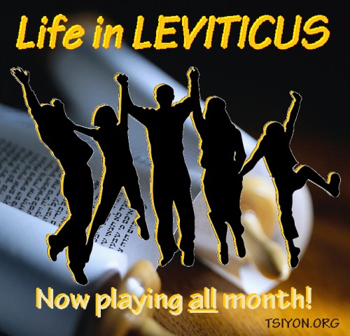 Life in Leviticus!