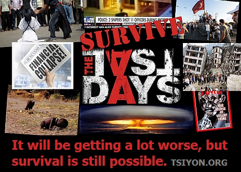 Survive the Last Days